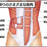 インナーマッスル