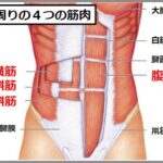 腹筋インナーマッスル鍛え方