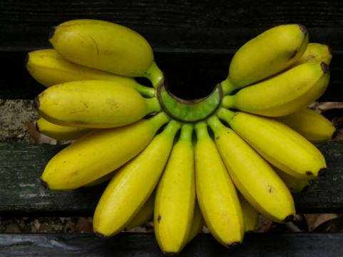 バナナは保存性と引き換えに甘さを失った