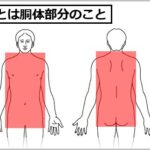 インナーマッスル体幹違う