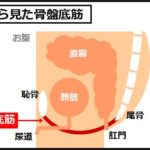 胃下垂の治し方
