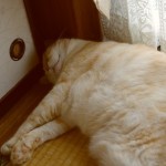 まぶたの腫れ