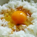 コレステロール値は卵の摂取量とは無関係だった