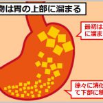 食べてすぐ寝る