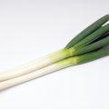 ネギの青い部分は捨てない…知って得する豆知識