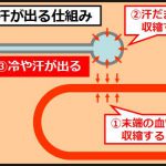 心臓が痛いときの冷や汗