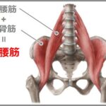 腸腰筋鍛え方