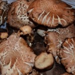 不溶性食物繊維
