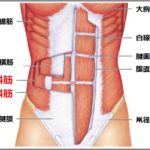 腹斜筋の筋トレ