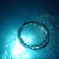 酸素濃度が高ければ長生きできるわけではない