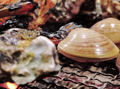 蒸し牡蠣のプリプリ食感を家庭で楽しむレシピ