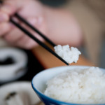 膵臓の働き