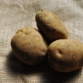 アピオスで便秘解消!じゃがいも5倍の食物繊維