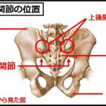 仙腸関節