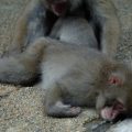 睡眠の質がよいかどうかをチェックする方法とは
