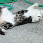 不眠症の原因