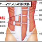 胃下垂の治し方