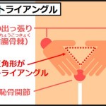 骨盤トライアングル