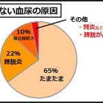 血尿の色