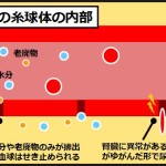 健康診断の「再検査」
