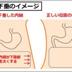 腹横筋インナーマッスル強化