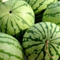 薬膳料理は旬の食材をとる意識だけでも効果アリ